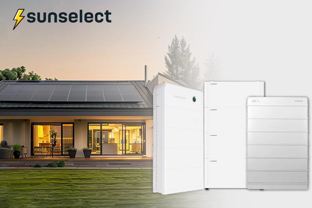 Save Smarter: Combining Solar Batteries with Feed-in Tariffs